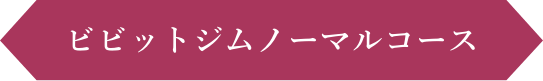 ビビットジムノーマルコース