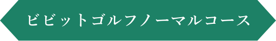 ビビットジムノーマルコース