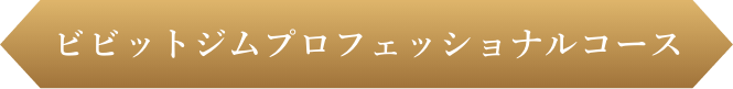 ビビットジムプロフェッショナルコース